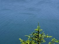 Summer Vacation 2018-187  A whale spout!